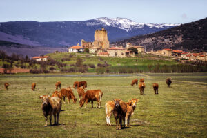 Fortaleza de Hinojosa de la Sierra