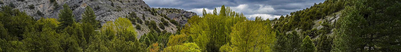 Monumento Natural de la Fuentona