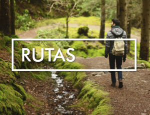 Rutas