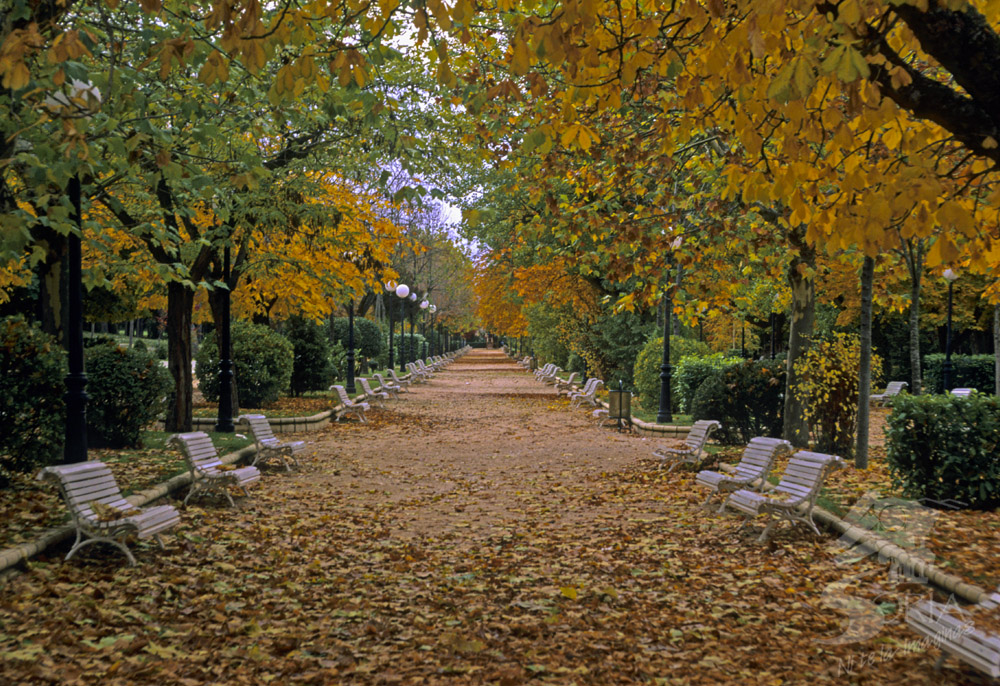 Paseo por la Dehesa en Otoño