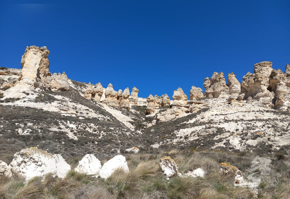 Cuadrillas Aguaviva de la Vega Soria ni te la Imaginas