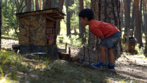 que-ver-en-soria-en-1-dia-bosque-magico-soria-ni-te-la-imaginas-01.jpg