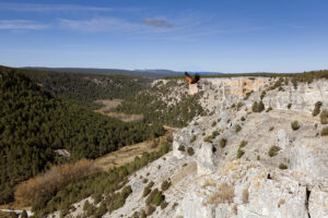  que-ver-en-soria-en-1-dia-cañon-del-rio-lobos-buitre-soria-ni-te-la-imaginas.jpg