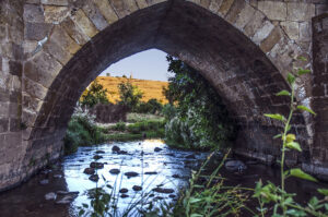  que-ver-soria-en-1-dia-valle-del-tera-garray-soria-ni-te-la-imaginas-003.jpg