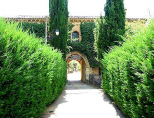 Monasterio de San Polo de Soria Monumentos Religiosos