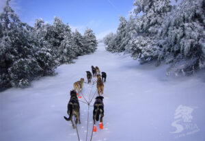 Actividades en la nieve Santa Inés