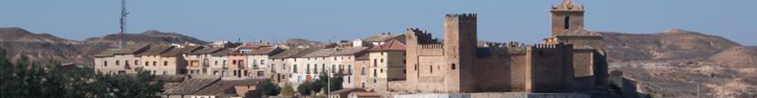 villa fortificada de Monteagudo de las Vicarías