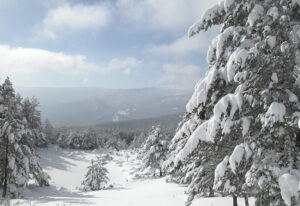 Punto de nieve de Santa Inés