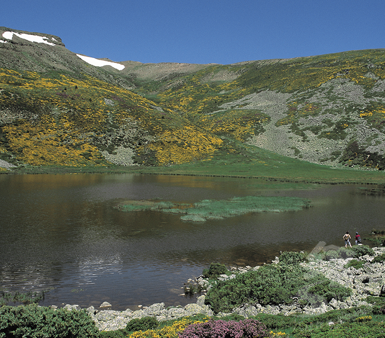 Laguna de Cebollera