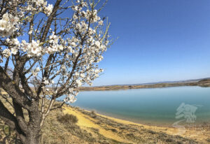 Laguna de Monteagudo