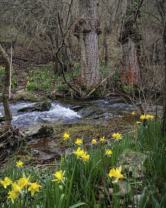 Cañón del Río Talegones