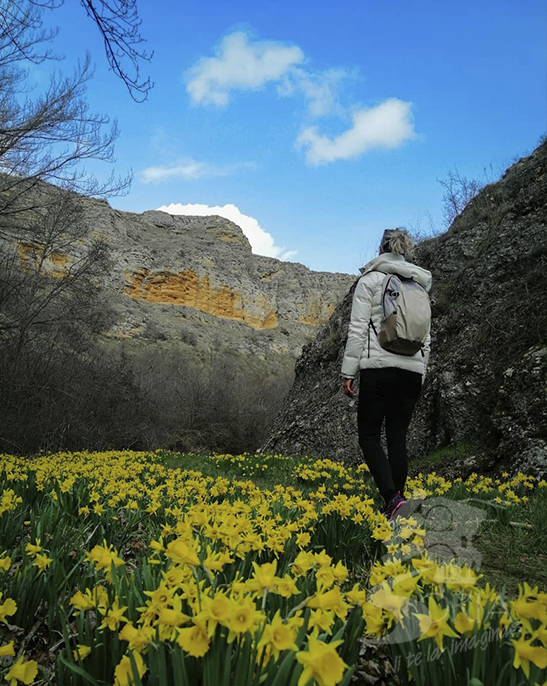 Cañón del Río Talegones