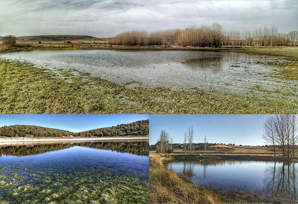 Lagunas temporales Soria