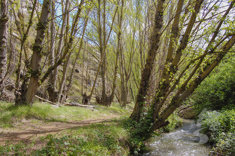Cañón del Val, una ruta de senderismo desde Ágreda en Soria