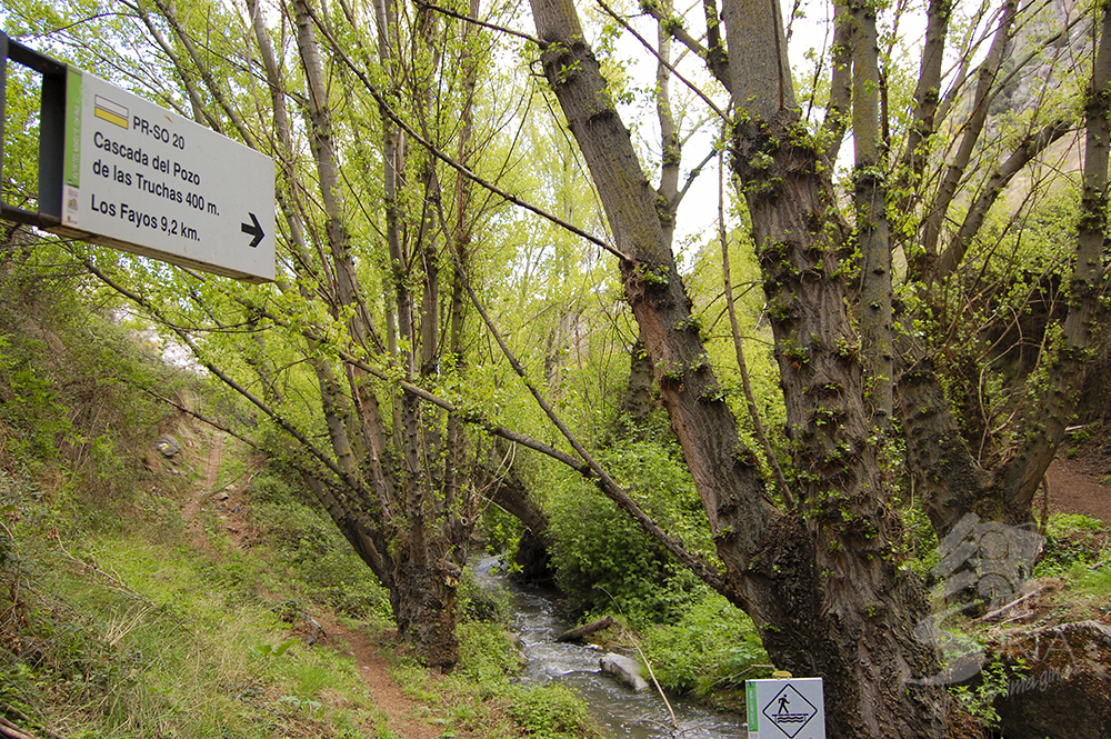 Cañón del Val, una ruta de senderismo desde Ágreda en Soria