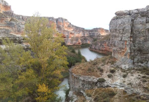 Ruta ornitológica