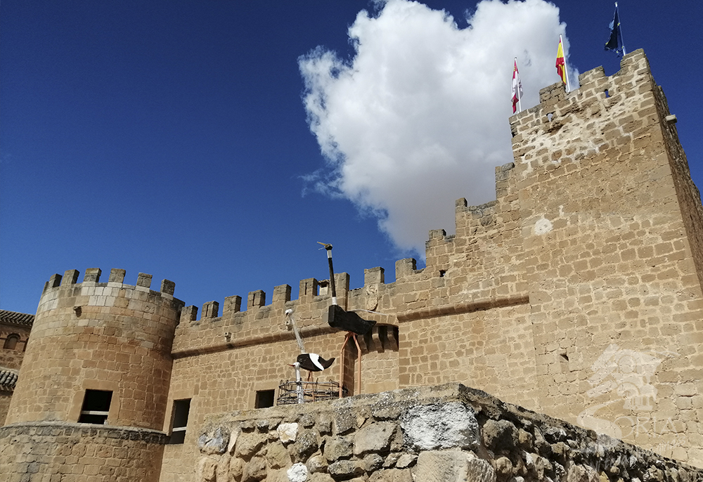 Castillo Monteagudo