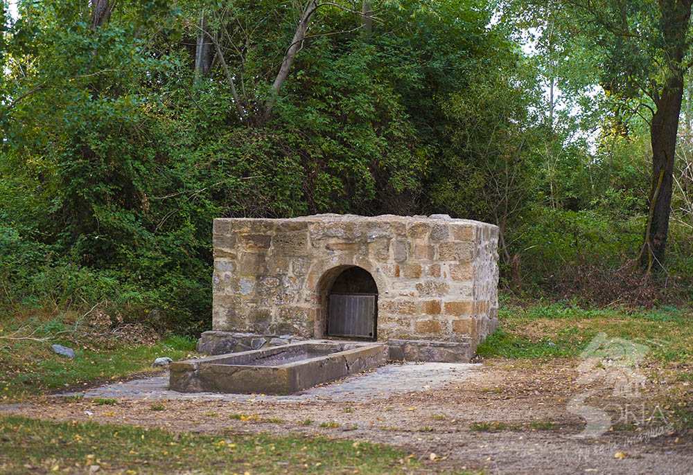 Fuente Masegoso