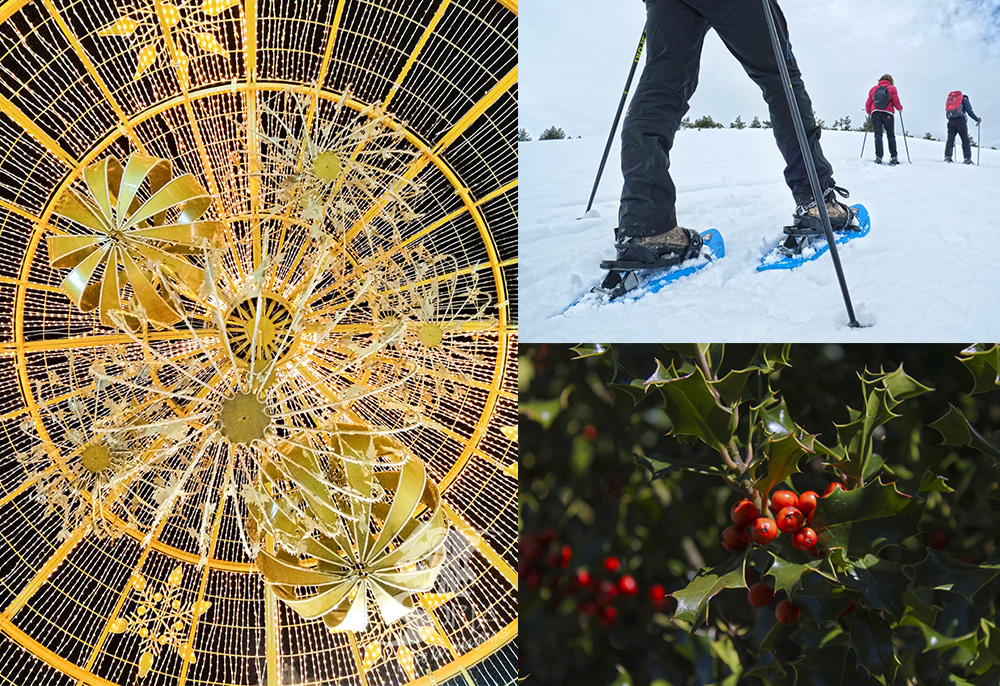 Planes para diciembre en Soria