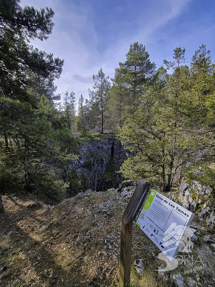 Sima de las Taínas