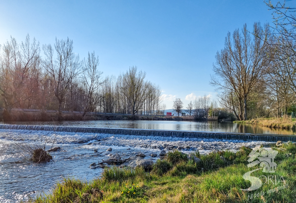 Río Tera a su paso por Garray