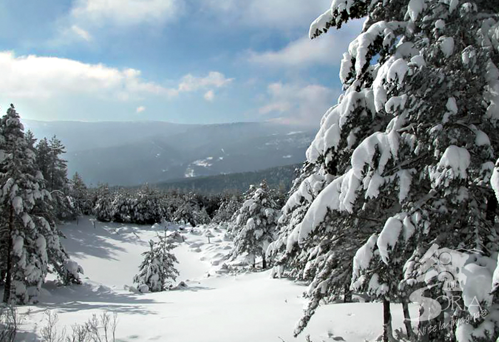 Punto de nieve de Santa Inés