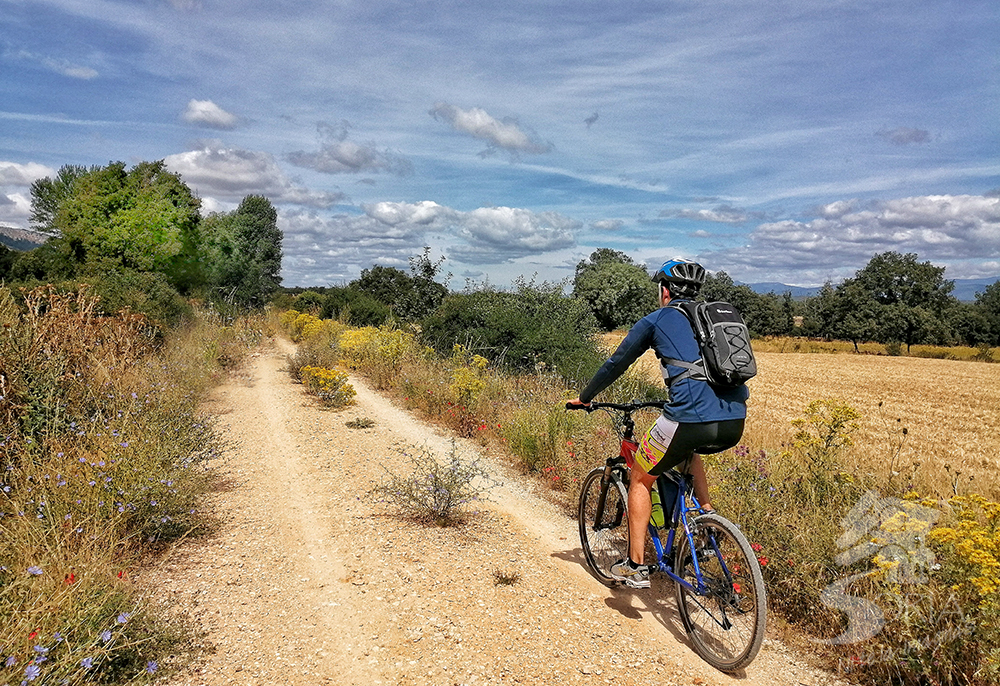 Rutas en bicicleta por la provincia de Soria
