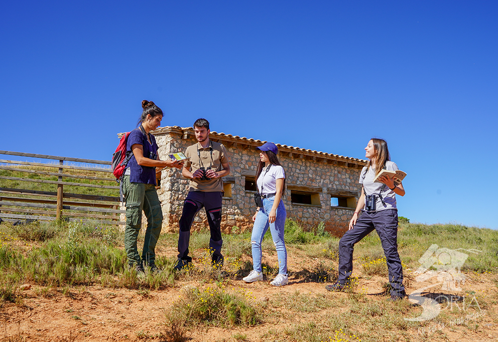 Zonas de avistamiento de aves en la provincia de Soria 