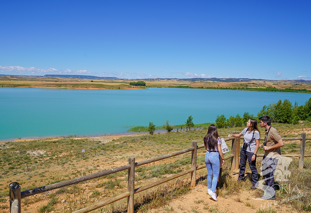 Zonas de avistamiento de aves en el embalse de Monteagudo de las Vicarías