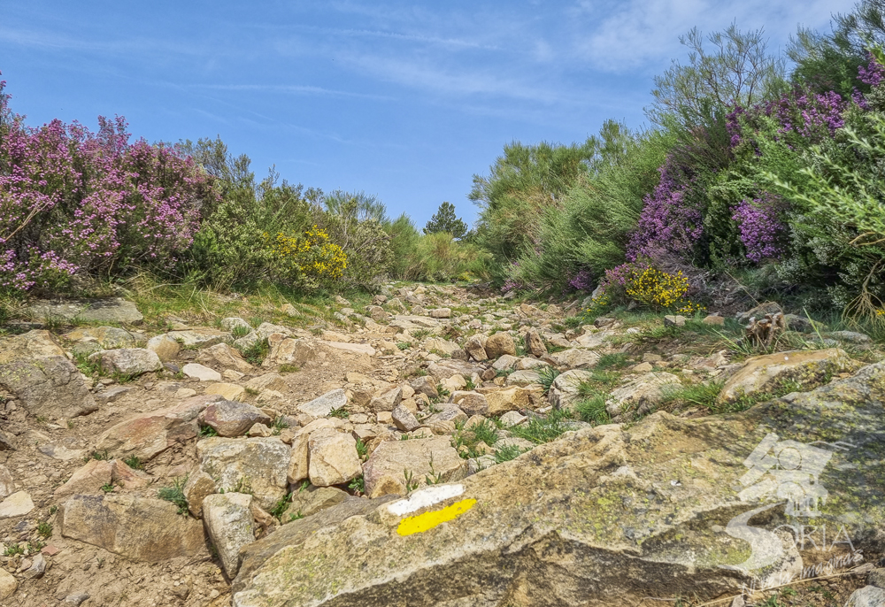 Acceso a la Sierra de Cebollera 