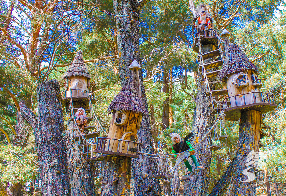 El Bosque Mágico en San Leonardo de Yagüe