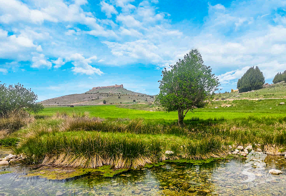 Zona de baño en Quintanas de Gormaz
