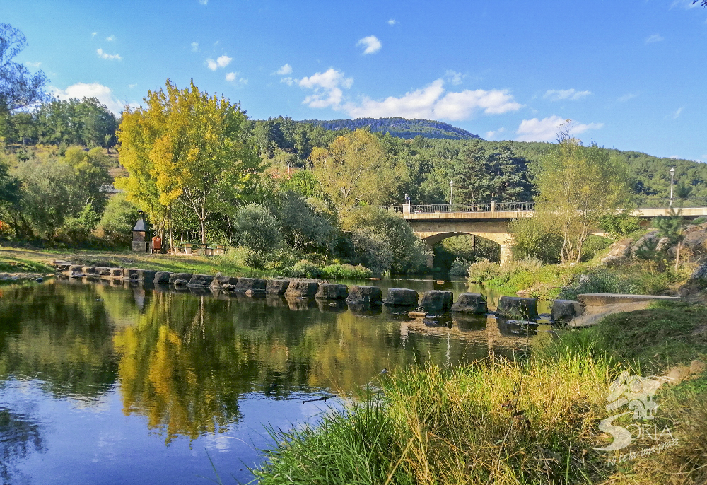 El Río Duero a su paso por Molinos de Duero