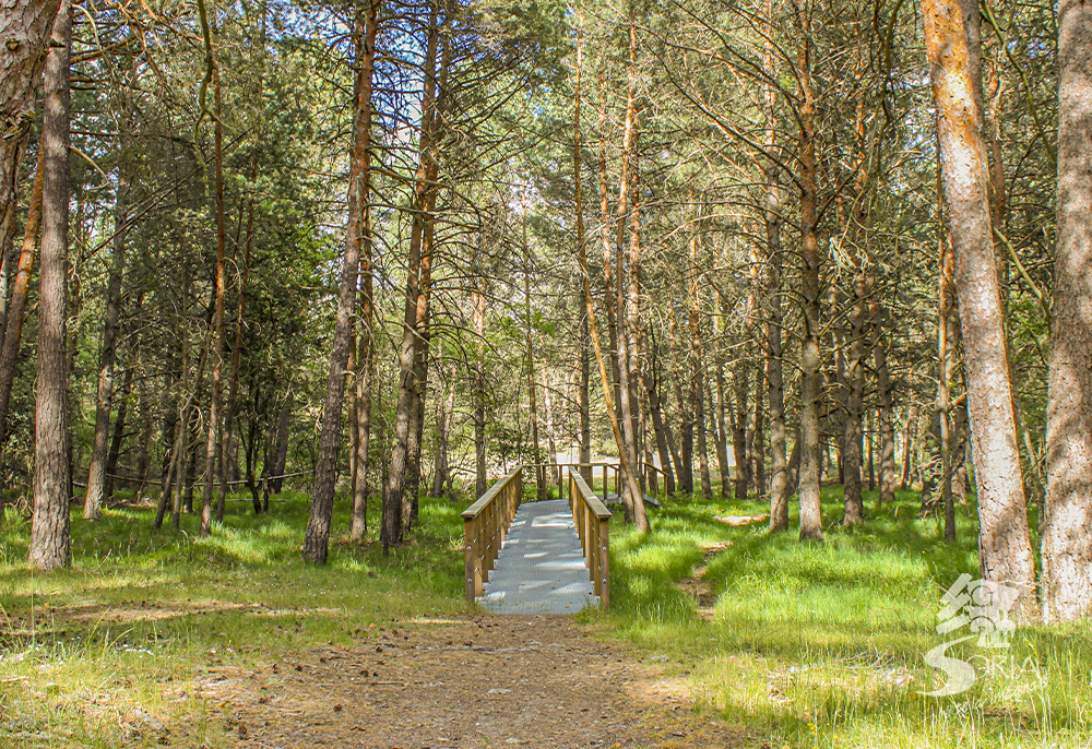 La Vía Verde en Soria