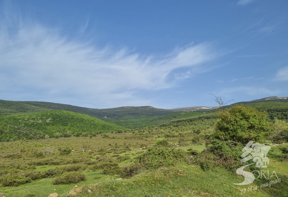 Sierra de Cebollera en Soria