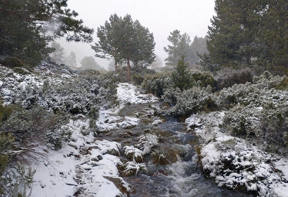 Laguna Cebollera