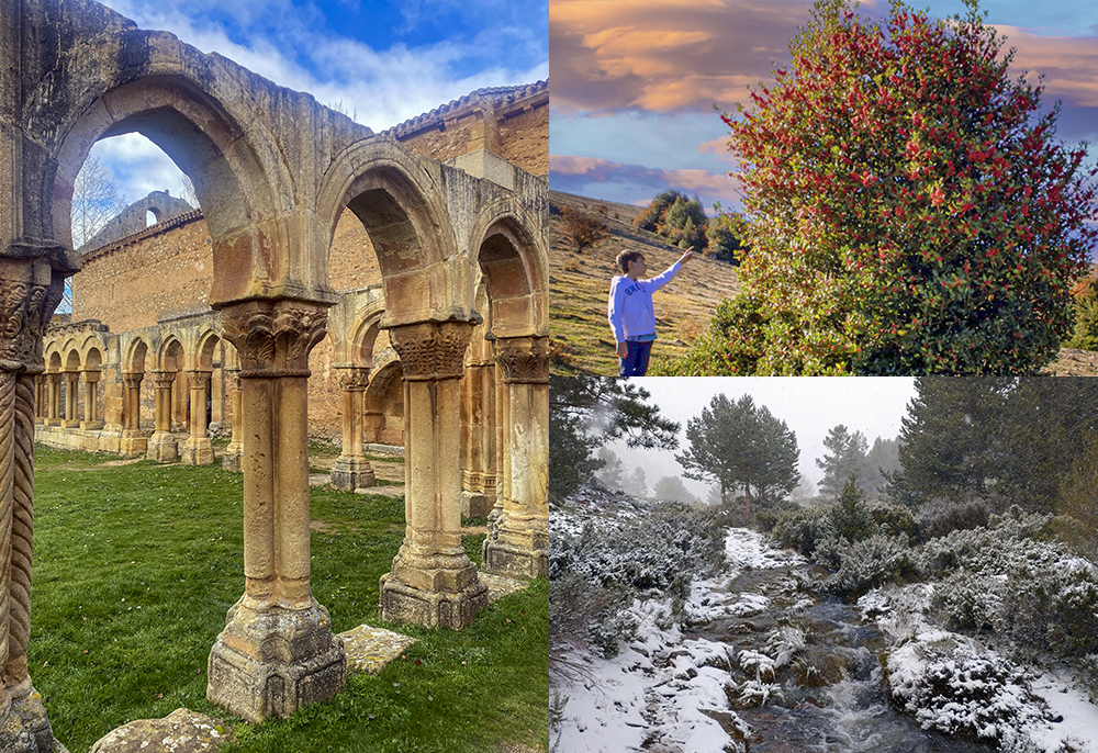 Planes puente de diciembre en Soria