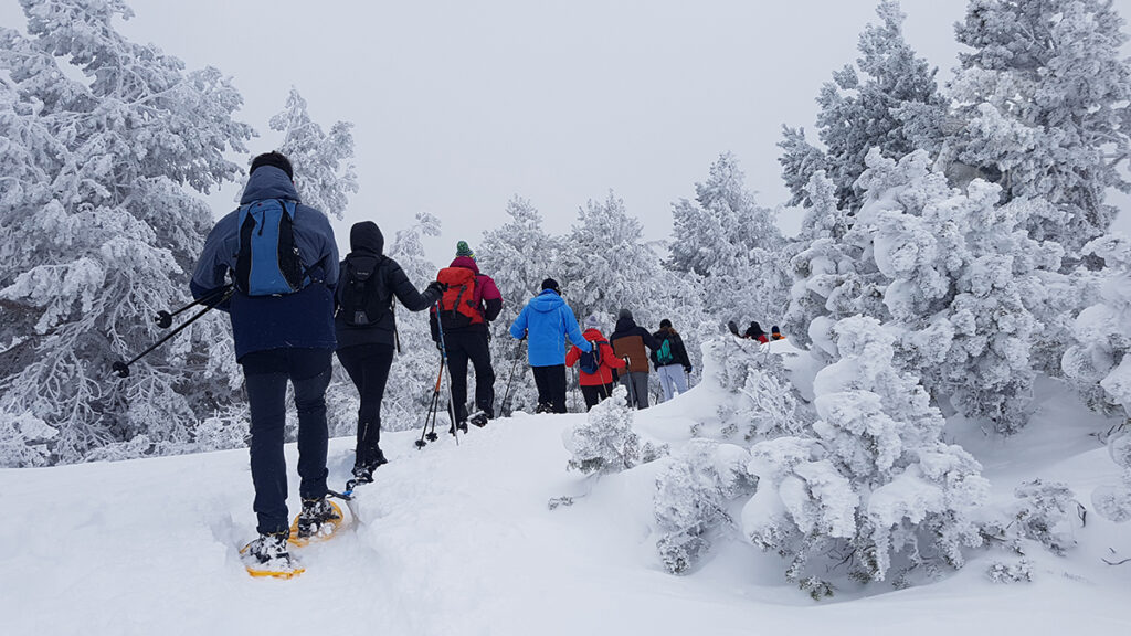 nieve en Soria