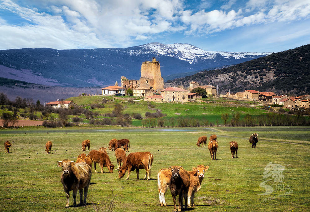 Gastronomía Soria ni te la Imaginas Hinojosa de la Sierra