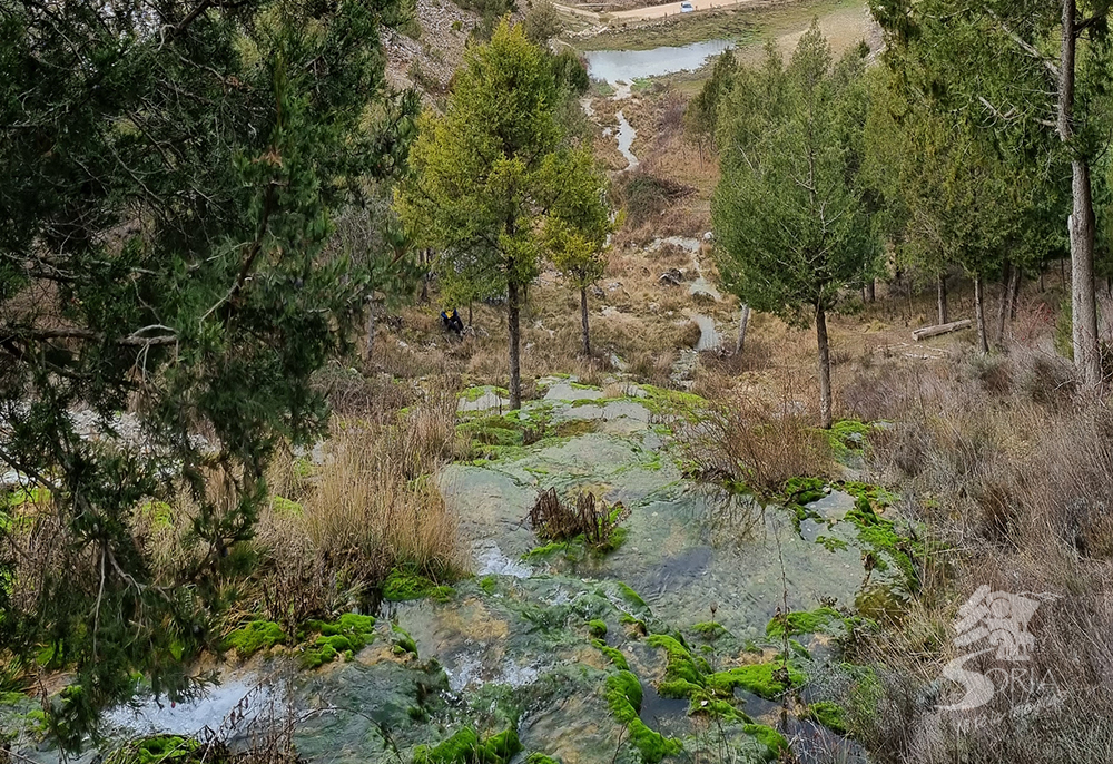 Chorrón de Cabrejas