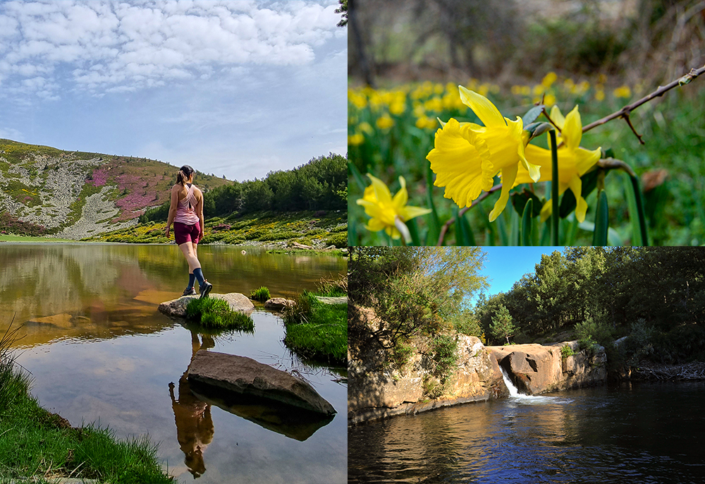 Qué hacer en Soria en Primavera