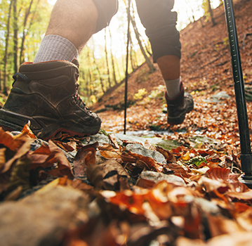 SORIA EN OTOÑO:<br />
QUÉ HACER