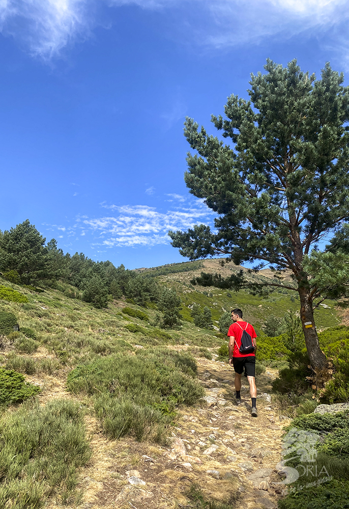 Ruta Laguna Cebollera