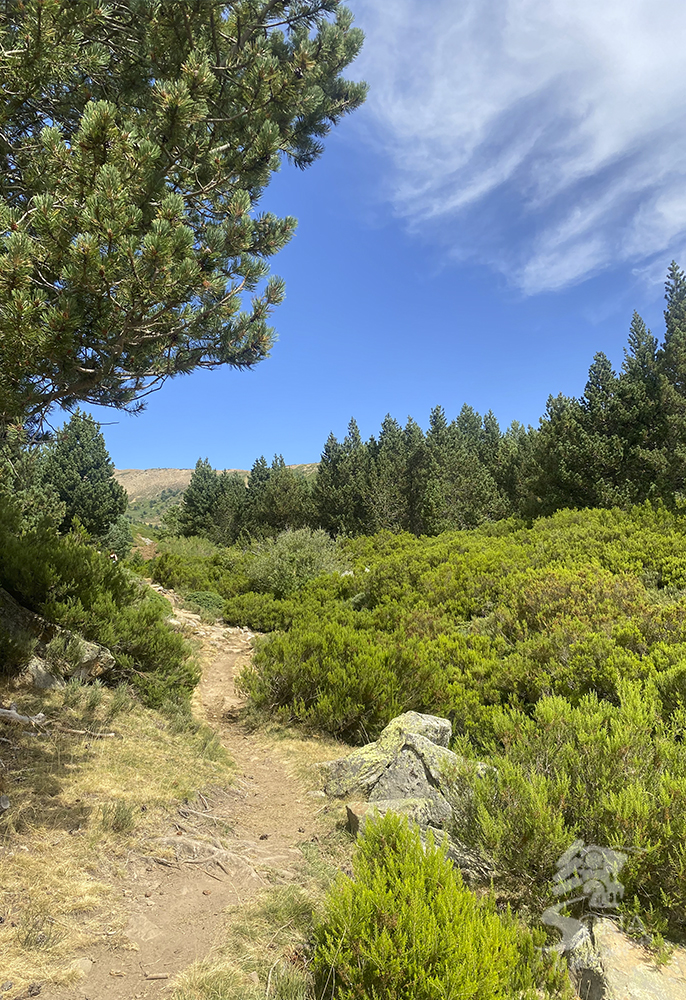 Ruta Laguna Cebollera