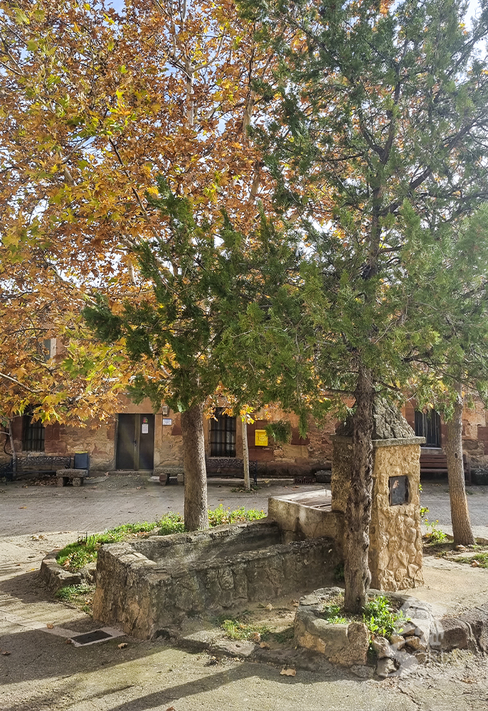 Jubera
