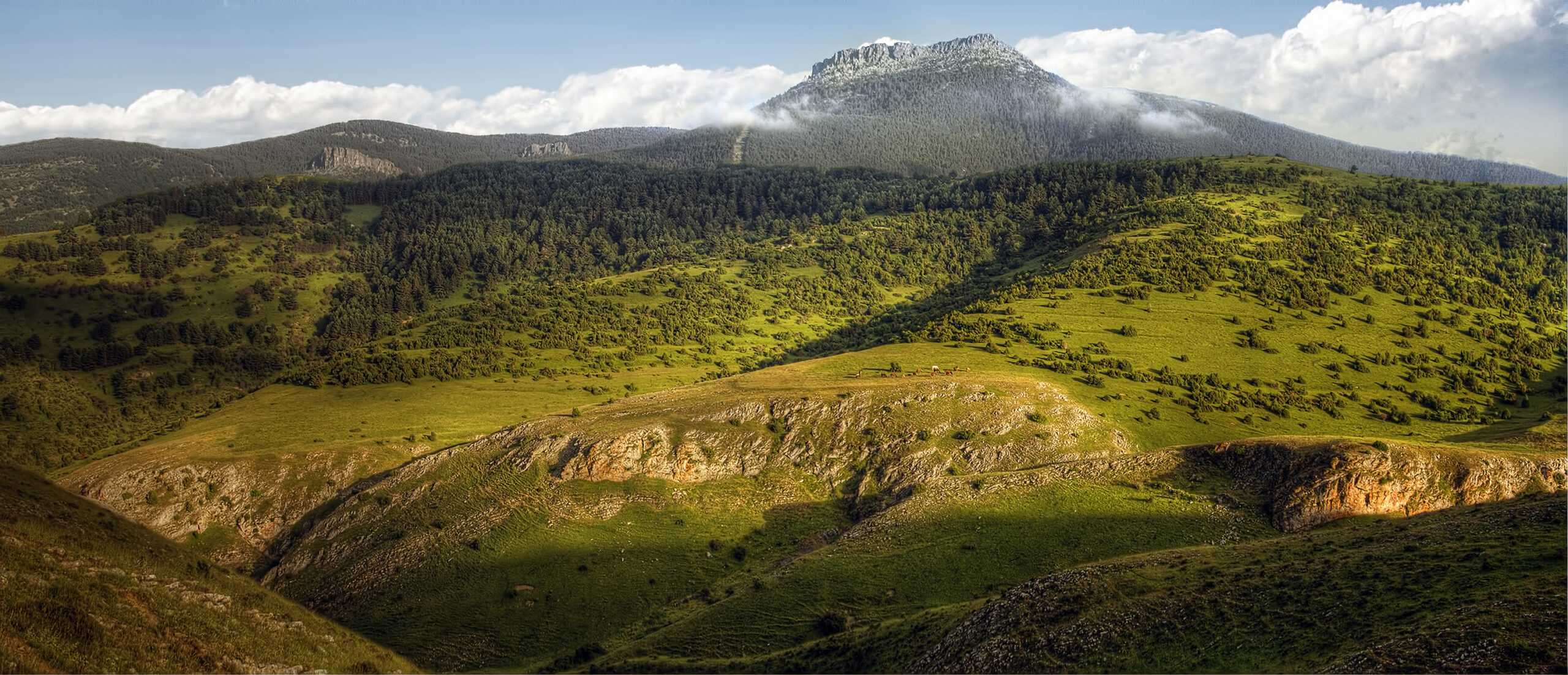 Paisaje de Montenegro de Cameros